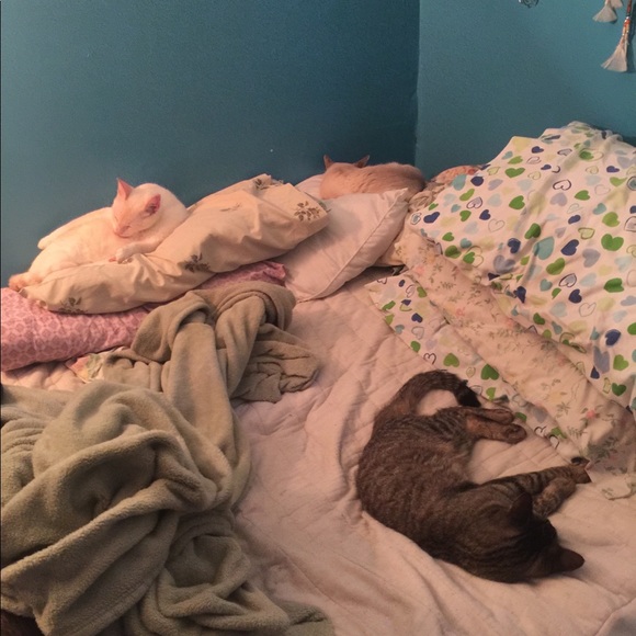 Meet your Posher, Melissa - Picture 4 of 5